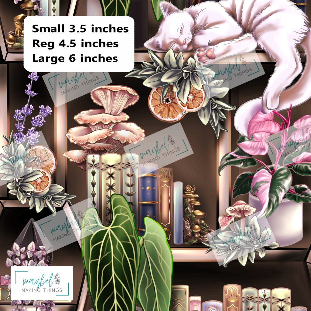 White Cat Bookshelf - Pre-Order Round 9 Paws, Petals and Pages September 2026